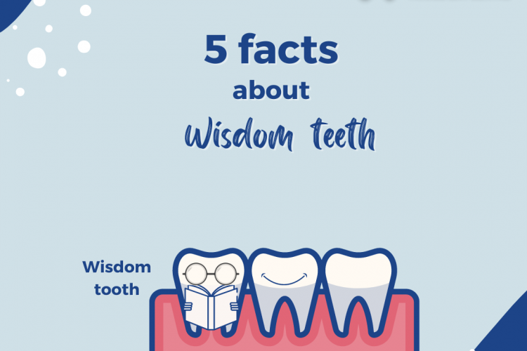 wisdom teeth facts