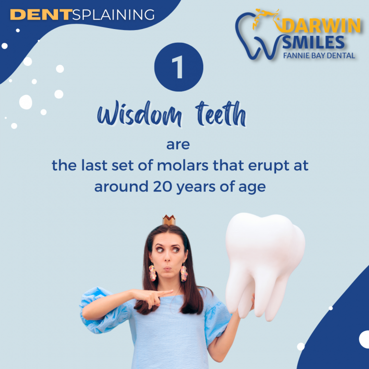 wisdom tooth fact