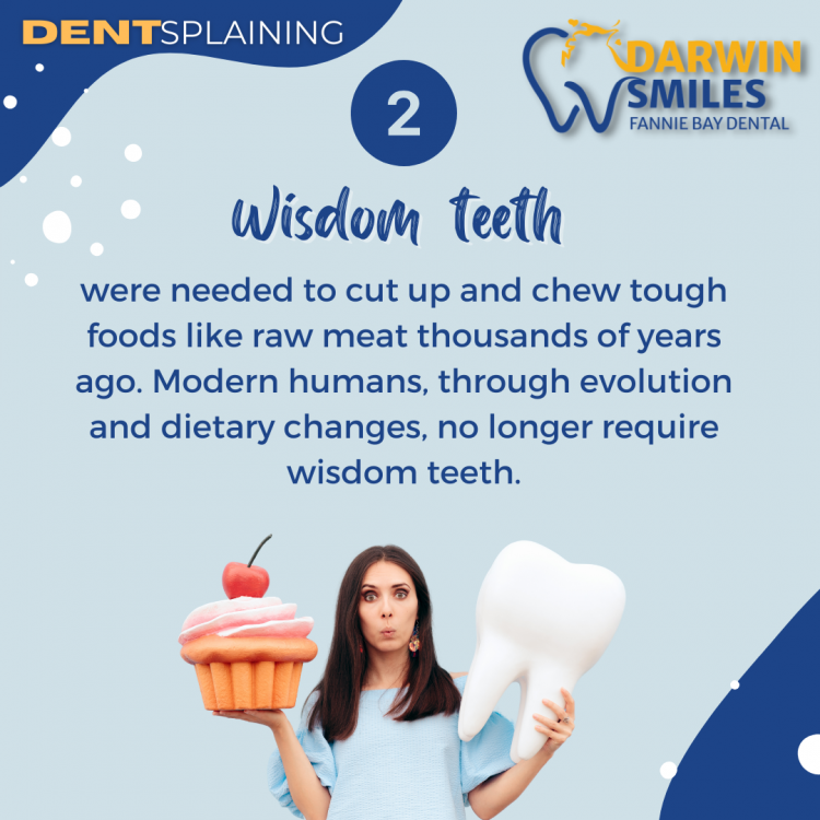 wisdom teeth darwin