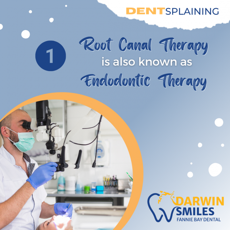 root canal therapy darwin